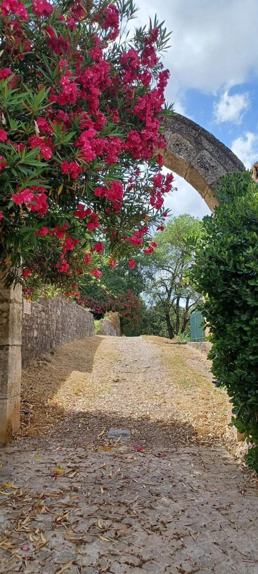 Comorebi Provence Entrecasteaux Exterior foto